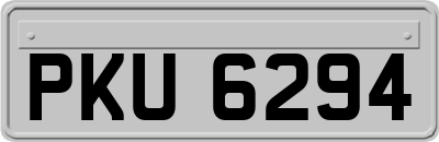 PKU6294