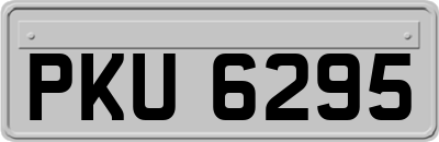 PKU6295