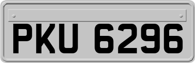 PKU6296