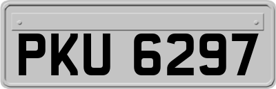 PKU6297