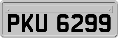 PKU6299