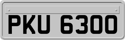 PKU6300