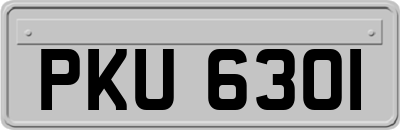 PKU6301