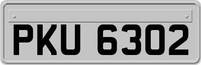 PKU6302
