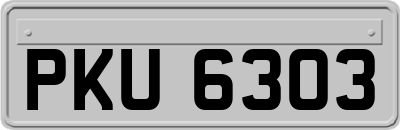 PKU6303