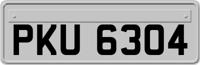 PKU6304
