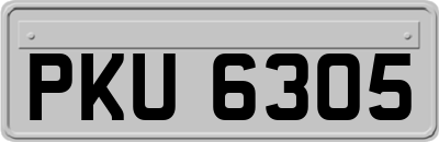 PKU6305