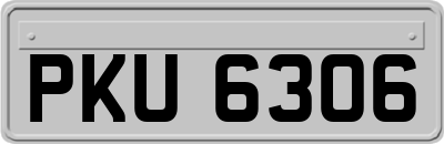 PKU6306