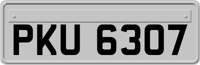 PKU6307