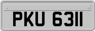 PKU6311