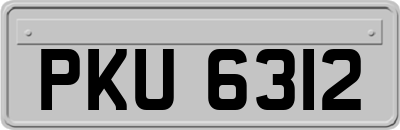 PKU6312