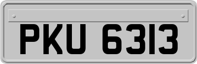 PKU6313