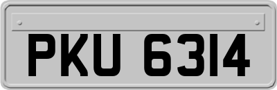 PKU6314
