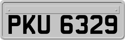 PKU6329