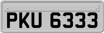 PKU6333