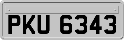 PKU6343
