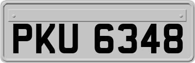 PKU6348
