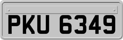 PKU6349