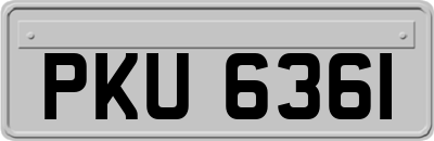 PKU6361