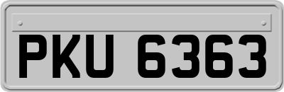 PKU6363