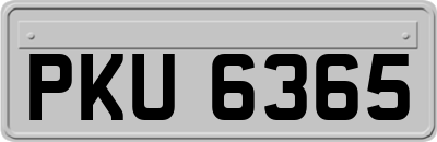 PKU6365