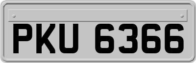 PKU6366