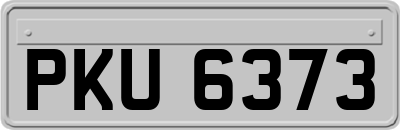 PKU6373