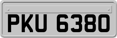 PKU6380