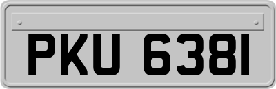 PKU6381