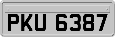 PKU6387