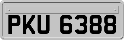 PKU6388