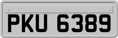 PKU6389