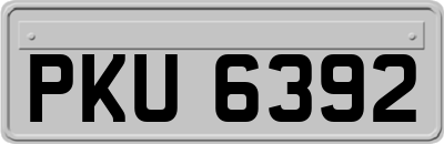 PKU6392
