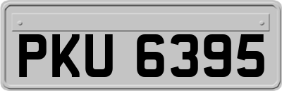 PKU6395