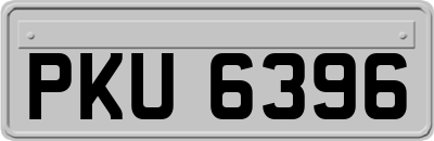 PKU6396