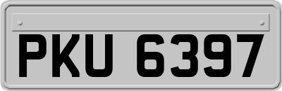 PKU6397