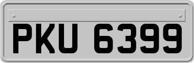 PKU6399