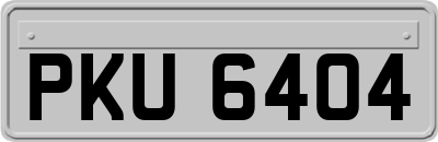 PKU6404