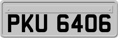 PKU6406