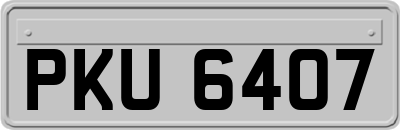 PKU6407