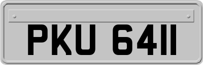 PKU6411