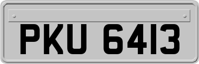 PKU6413