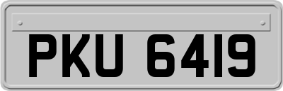 PKU6419
