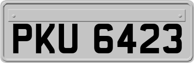 PKU6423