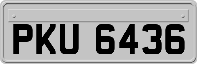 PKU6436