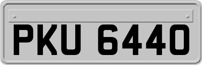 PKU6440