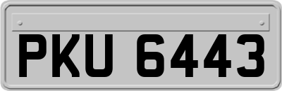 PKU6443