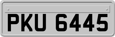 PKU6445