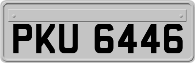 PKU6446