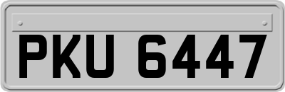 PKU6447